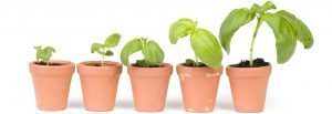 Marketing a recruitment agency