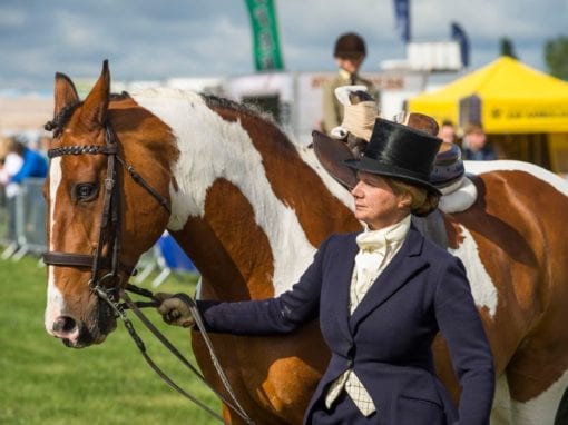 Leicestershire County Show