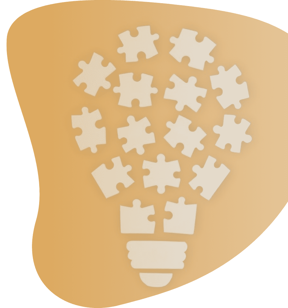 Customer Insight