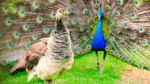 From First Impression to Forever Content Marketing as Courtship