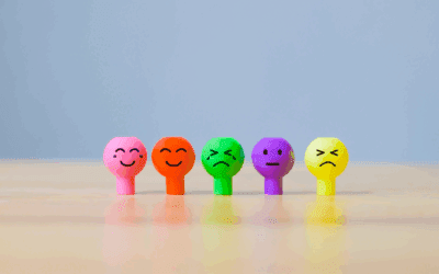 The Role of Emotions in the Customer Journey